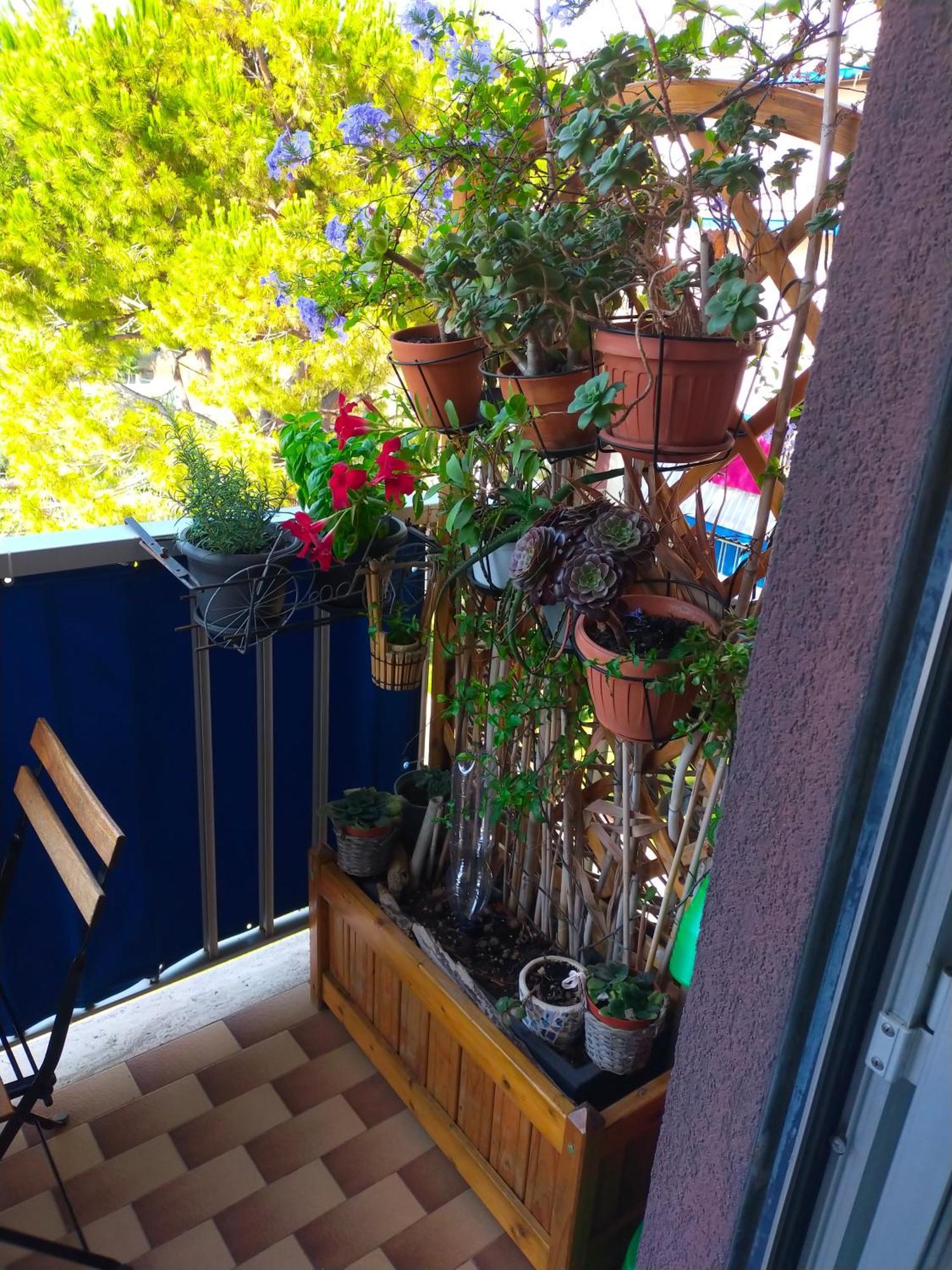 Appartamento Riviera Trilocale Wifi E Parcheggio Privato فنتيميليا المظهر الخارجي الصورة